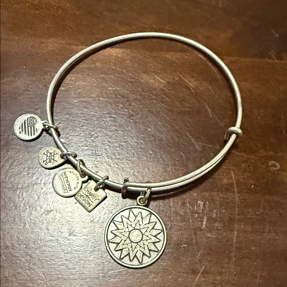 Alex and Ani Silver Charm Bracelet